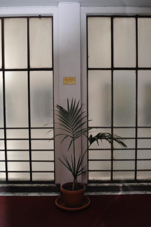 Domus Cornelia Bed & Breakfast Roma Phòng bức ảnh
